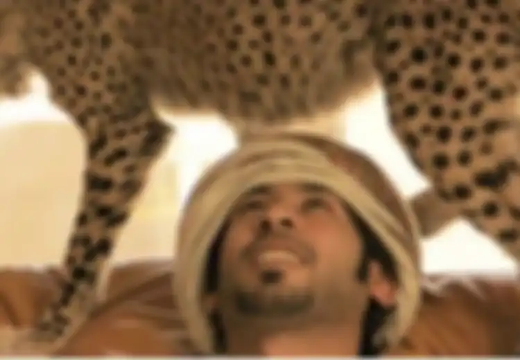 Fakta Memilukan Cheetah, Dibeli Orang Kaya Seharga Rp142 Juta Hanya Untuk Hal Ini Hingga Jadi Terancam Punah
