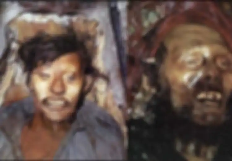 Hilang Hampir 2 Abad, Begini Isi Kapal HMS Terror yang Karam Misterius dan Awaknya Lakukan Kanibalisme