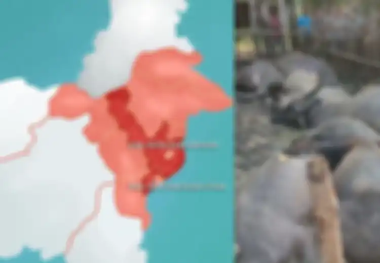 BERITA POPULER: Perkantoran Bekas di Jakarta Akan Diubah Jadi Taman Hingga Seorang Warga dan 19 Kerbau Disambar Petir Bersama