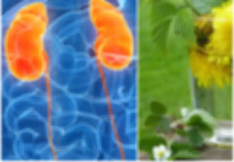 Mudah Didapat, Minuman Ini Bisa Membantu Tubuh untuk Membersihkan Ginjal Secara Alami