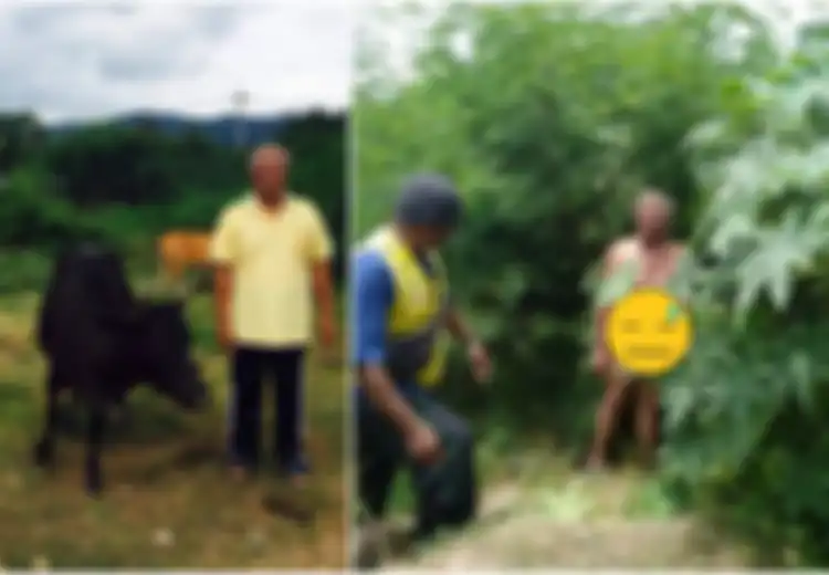 Pria Tua 'Tanpa Busana' Giring Seekor Sapi Ke Semak-semak, Ternyata Ini yang Dilakukannya, Pemilik Sapi Sampai Menagis Minta Bantuan