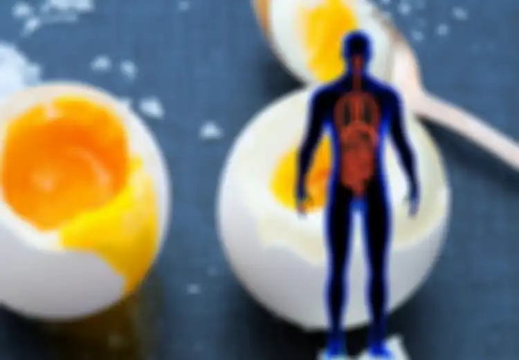 Inilah yang Terjadi pada Tubuh Jika Anda Mulai Makan 3 Telur Utuh Setiap Harinya, Baik atau Buruk Sih?