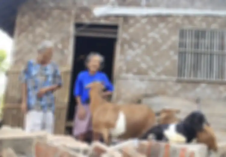 Kisah Sedih 2 Nenek Asal Karawang Usia 70 Tahun yang Harus Tinggal Serumah dengan Kambing