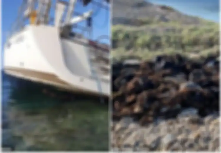 Mau Selundupkan Narkoba Senilai Rp10 Triliun, 2 Orang Ini Justru Terdampar di Pulau Terpencil, Ini yang Mereka Lakukan Saat Ditemukan Polisi