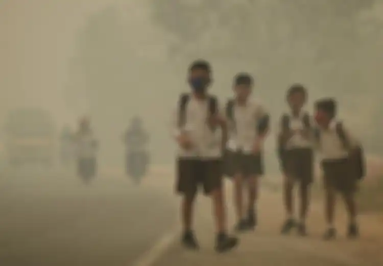 Kabut Asap Melanda Beberapa Wilayah Indonesia, Studi: Polusi Udara Tak Cuma Ganggu Pernapasan, Tapi Juga Kejiwaan hingga Munculkan Keinginan Bunuh Diri