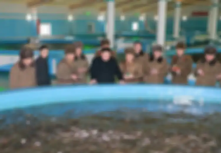 Saat Kim Jong-un Eksekusi Jenderalnya dengan Melemparnya ke Tangki Berisi Ratusan Piranha Impor dan Intel Inggris Hanya Berkomentar: 'Alasan Klasik'