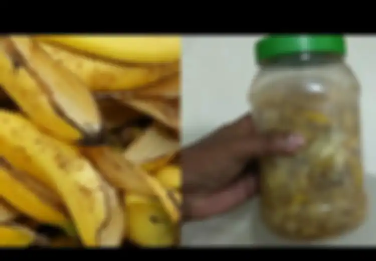 Biasanya Hanya Dibuang, Ternyata 'Kulit Pisang' Akan Sangat Bermanfaat Jika Anda Membuatnya Seperti Ini