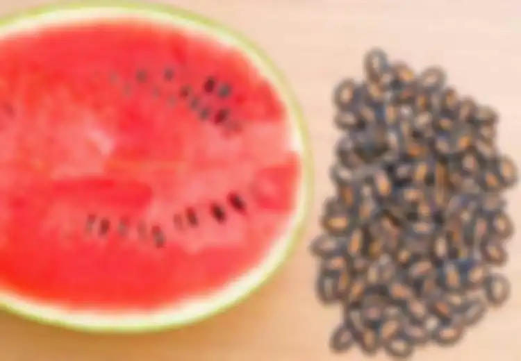 Mulai Sekarang Jangan Buang 3 Biji Buah Ini, Ternyata Ada Manfaat Besar Bila Kita Makan Biji Buah Ini, Nyesel Baru Tahu!