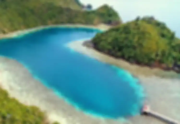 Sisi Lain Papua, Lakukan Tradisi ‘Sasi’ Demi Pelestarian Spesies Laut agar Berkembang Biak dan Bertahan Hidup, Seperti Apa Tradisi yang Dilakukan Penduduk Raja Ampat Ini?