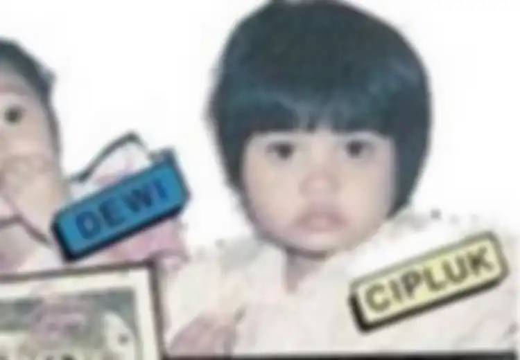 Kisah 'Tertukarnya' Bayi Dewi dan Cipluk: Saat Naluri Ibu Dipertanyakan, Pengadilan Dihebohkan, dan Selama 1 Tahun, Satu Bayi Ditelantarkan