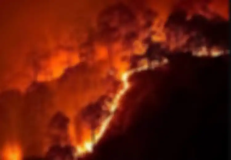 Bukan Sekadar Udara Bertambah Panas, Faktanya Dampak Kerusakan Hutan 600 Kali Lebih Menakutkan dari yang Dibayangkan, Bom Waktu pun Siap Meledak!
