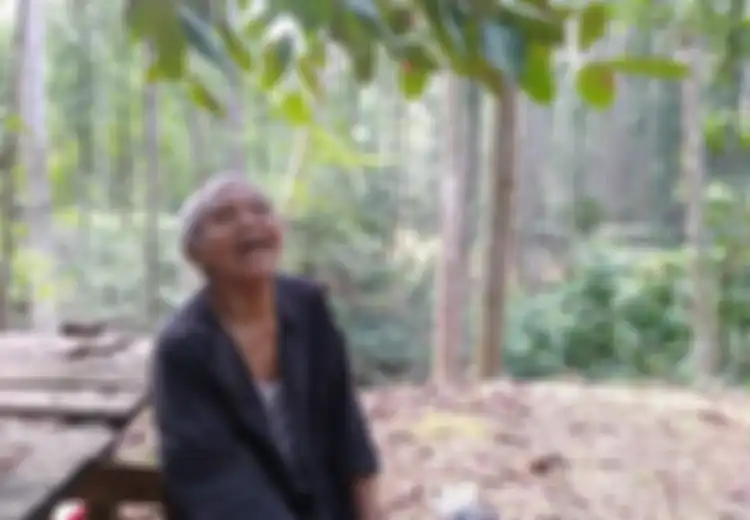 Demi Jaga Hutan, Kakek 78 Tahun Ini Tolak Rp10 Miliar, 'Saya Menyiapkan Oksigen Bagi Masyarakat di Kota Ini'