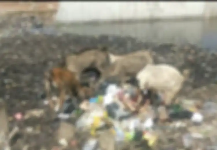 Jakarta Hasilkan 7.700 Ton Sampah per Hari, Bisakah 'Interceptor' Bereskan Masalah Ini?
