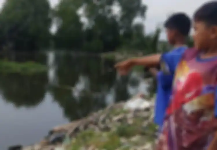 Berhari-hari Direpotkan Dengan Bau Busuk Menyengat dari Danau, Warga Medan Terkejut Temukan Puluhan Bangkai 'Raksasa' Penuhi Danau