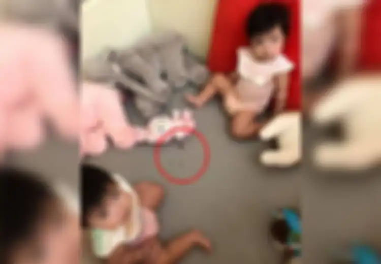 Anak-anaknya Terlihat Anteng, Ibu Ini Terkejut saat Tahu Kedua Anaknya Sedang Makan ‘Camilan’ Menjijikan Sekaligus Berbahaya Ini