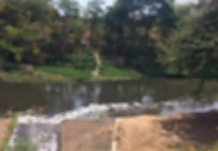 Hitam Pekat dan Bau Alkohol, Kondisi Sungai Bengawan Solo Memprihatinkan