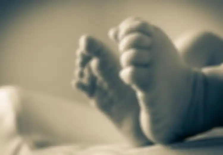 Sedang Berada di Dalam Kereta Bayi yang Didorong Ibunya, Balita Ini Meregang Nyawa Setelah Benda Ini Terjun ke Arahnya