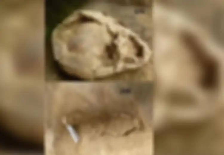 Jadi Bagian dari Pembantaian Ratusan Anak Kecil Masyarakat Chimu di Kolumbia, Beginilah Kondisi Tengkorak Anak-anak Kecil yang Ditemukan Arkeolog di Peru, Ada 'Helm' Terbuat dari Tengkorak Manusia