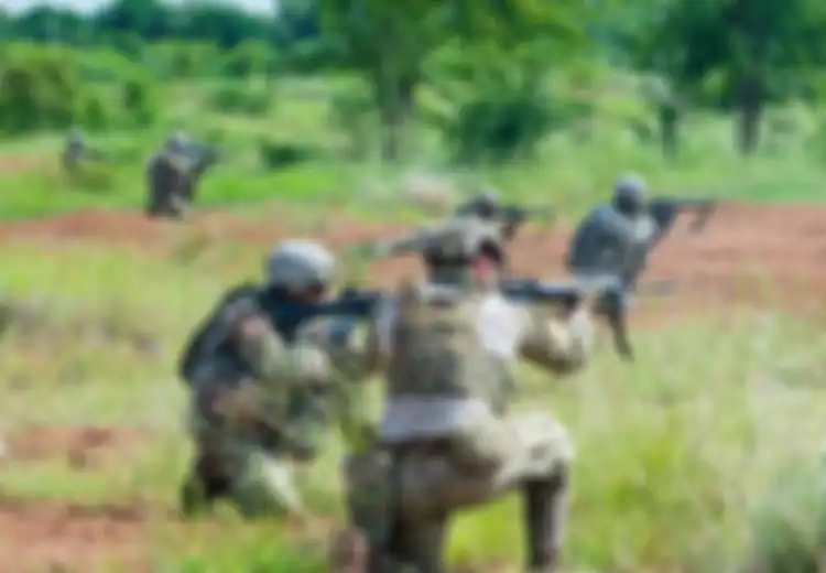 Tersisa Satu di Dunia, Inilah Hewan yang Dijaga Paling Ketat 24 Jam Oleh Pasukan Militer Bersenjata, Jika Terluka Sedikit Penjaganya Langsung Dihukum