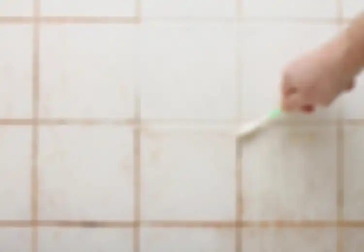 Kamar Mandi Terlihat Kusam? Yuk, Bersihkan Nat Kamar Mandi dengan Dua Bumbu Dapur Ini, Mau Coba?