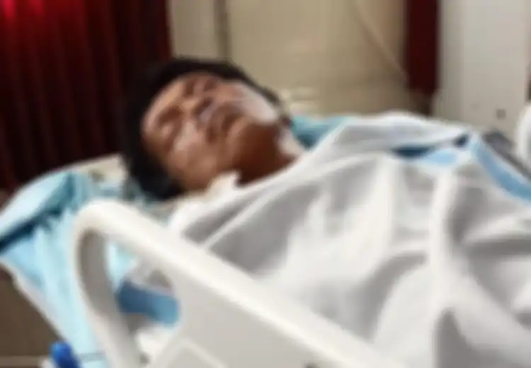 Politikus PDI Adian Napitupulu Terkena Serangan Jantung: Mencegah Serangan Jantung Ternyata Mudah, Pelihara Saja Kucing!