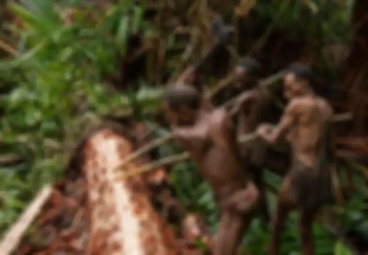Menguak Kehidupan Rahasia Suku Korowai, Suku Pemangsa Sesama Terakhir yang Hidup di Pedalaman Papua Jauh dari Kehidupan Modern, Simak Apa yang Mereka Ketahui Tentang 'Orang Modern'
