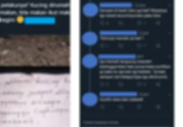 Viral Foto Kucing Diracunin, Benarkah Telur Mentah Dapat Digunakan untuk Menetralisir Racun di Tubuh Kucing? Ini Jawaban Dokter