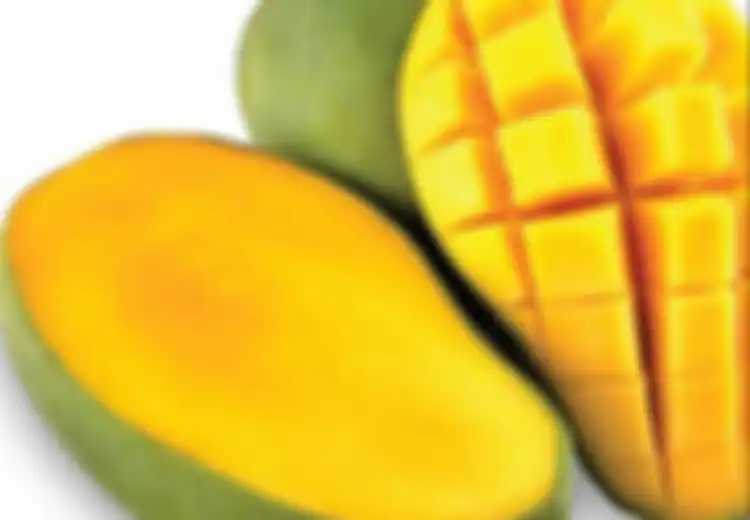 Perhatian untuk Para Wanita, Ternyata Makan Buah Mangga Bisa Bantu Cegah Penyakit Mematikan yang Ditakuti Kaum Wanita Ini! Begini Penjelasannya!