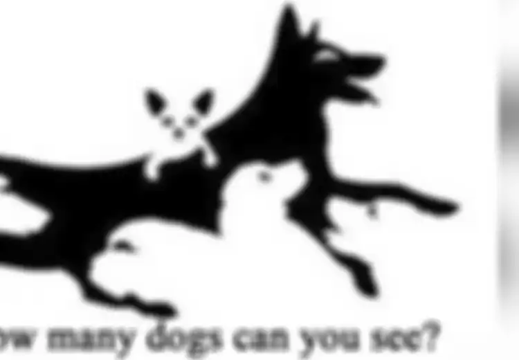 Coba Tebak Berapa Jumlah Anjing pada Gambar Ini, Tebakan Anda akan Menunjukkan Usia dan Mental Anda