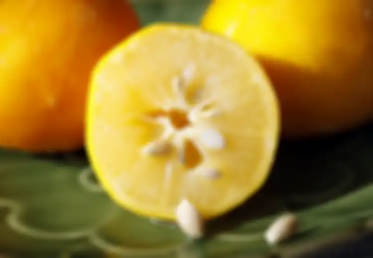 Temukan 7 Manfaat Masker Lemon di Setiap Perpaduan Buah Lemon dan Berbagai Bahan Ini, Masalah Kulit Teratasi!