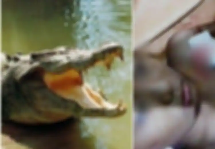 Asyik Berenang di Sungai, Bocah 9 Tahun Ini Diterkam Buaya hingga Melukai Lehernya, Kakak dan Teman-temannya Segera Ramai-ramai Lakukan Aksi Mendebarkan Ini untuk Usir Buaya