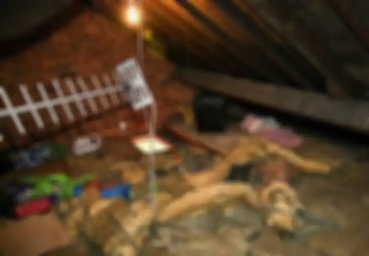 Setiap Malam Suara Aneh Kerap Terdengar dari Loteng Rumah, Begitu di Periksa Keluarga Ini Temukan Kebenaran Mengejutkan yang Tesembunyi Selama 12 Tahun 