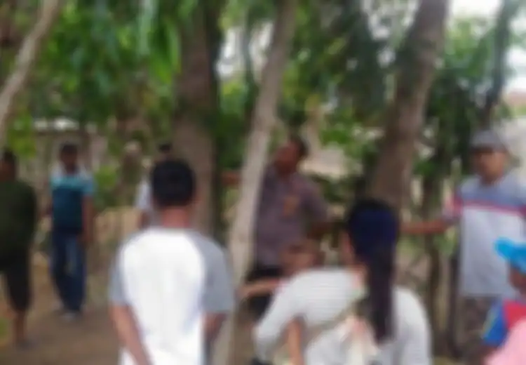 'Kayak Suara Perempuan Nangis,' Warga Berbondong-bondong Antre Tempelkan Telinga ke Pohon 'Menangis' Setinggi 20 Meter di Jember, Ladang Pak Aziz Mendadak Ramai