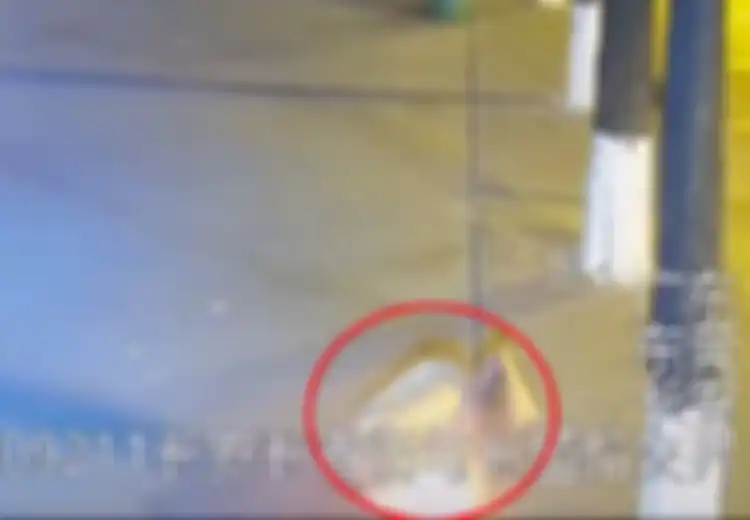 Berkeliaran Dini Hari, Pria Ini Bakar Tunawisma yang Sedang Tidur di Bangku Taman, Alasan Kejahatannya Sungguh Bikin Jengkel