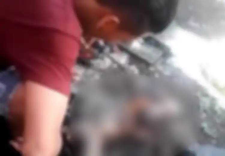 Kucing Kelabu Bergaris Ini Jadi Santapan Makan, Viral Video Pemuda Bakar Kucing Karena Populasinya Banyak: 'Hobinya Mengkonsumsi Daging Kucing'