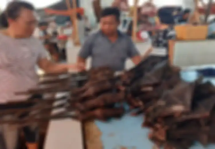 Waspada, Ditemukan 6 Virus Baru pada Kelelawar Buah di Indonesia, Begini Cara Menghindarinya Menurut Ahli Patologi!