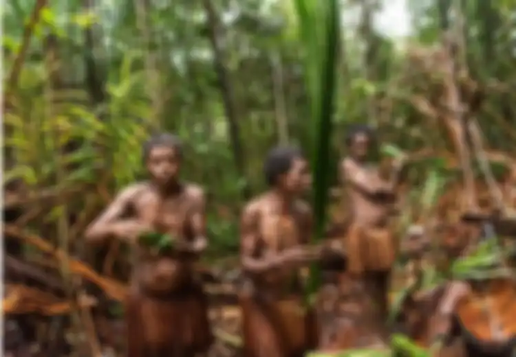 Meski Memang Kanibal, Suku Korowai Papua Hanya Akan 'Menyantap' Manusia Jika Ada yang Melanggar Hukum Adat Ini, Lalu Sehari-hari Apa Makanan Utama Mereka?