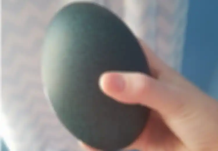 Wanita Ini Beli Telur Raksasa Seharga Ratusan Ribu, Dia Shock Ketika Temukan Hal Tak Terduga di Dalamnya