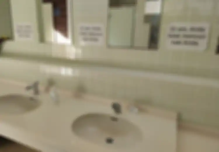 Viral Tulisan Berbahasa Indonesia di Toilet Jepang, Beginilah Cerita di Baliknya