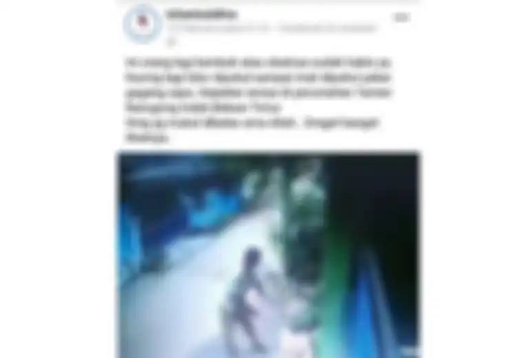 Kasus Kucing Dipukuli Sampai Mati di Bekasi, Ternyata Pelaku Sering Aniaya hingga Racuni Kucing-kucing