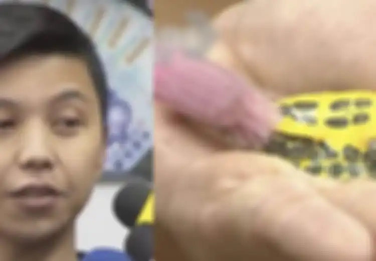 Dianggap Pekerjaan Tak Menjanjikan, Pria Ini Justru Jadi Pembantu Rumah Tangga Bergaji Fantastis Hingga Rp36 Juta, Padahal  Hanya Lakukan Pekerjaan Sepele Ini