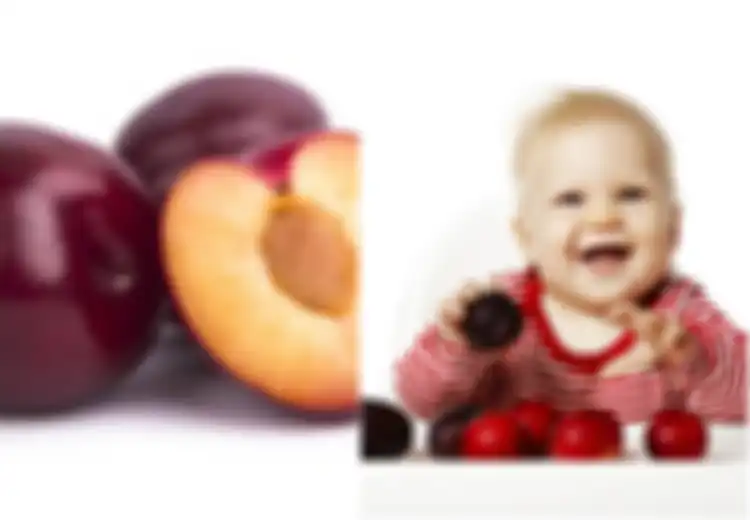 Manfaat Buah Plum untuk Bayi Sebagai Makanan Pendamping ASI dan Ini Cara Memilih Buah Plum yang Baik untuk Bayi