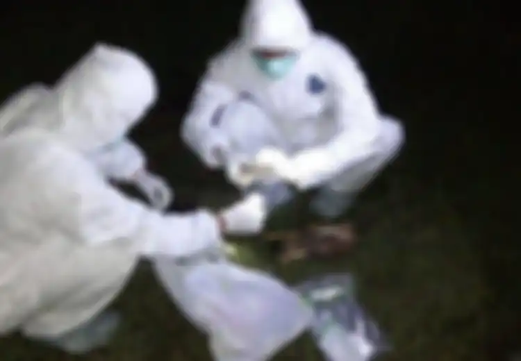 Deretan Fakta Kambing, Ayam dan Kucing Mati Mendadak, Video Viral Hingga Membuat Penasaran Warga: 'Ada Saksi yang Melihat Awalnya Hewan Itu Kejang-kejang'