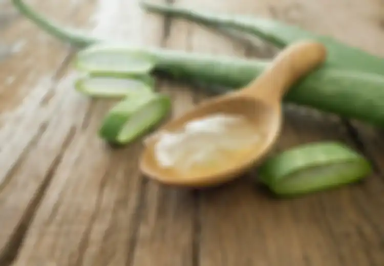 11 Obat Tradisional untuk Biduran Kronis, Termasuk Gel Lidah Buaya