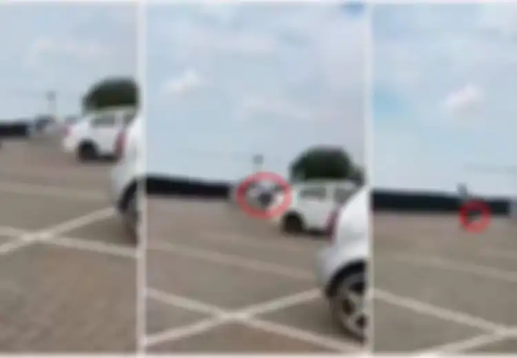 Terlanjur Sultan, Orang Tua Ini Antarkan Tas Anaknya yang Tertinggal di Rumah ke Sekolahnya Menggunakan Helikopter, Videonya Mendadak Viral