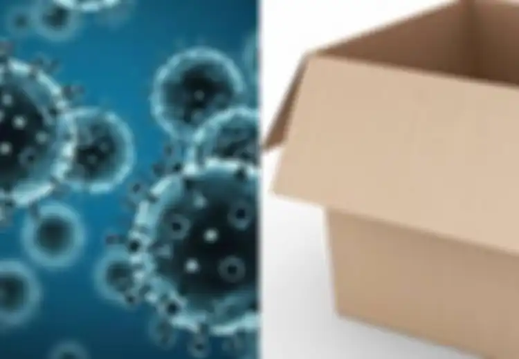 Bisakah Kita Tertular Virus Corona dari Pembungkus Paket Belanja Online?