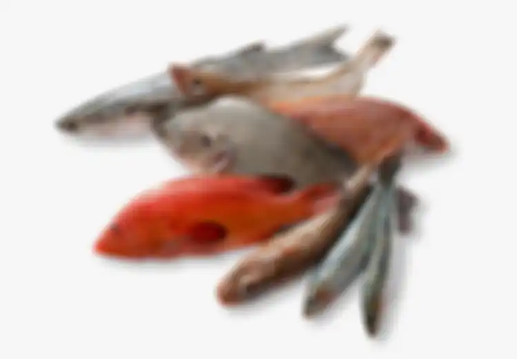 Coba Rendam Ikan dengan Susu Sebelum Digoreng, Ini Keuntungan yang Akan Anda Rasakan Setelahnya