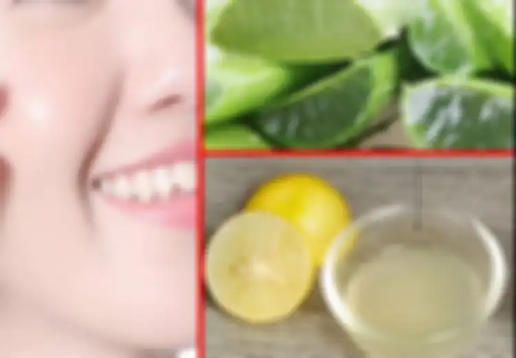 Masker Lemon dan Lidah Buaya yang Baik untuk Obati Jerawat, Tapi Hati-hati Penggunaan  Lemon untuk Wajah Sensitif