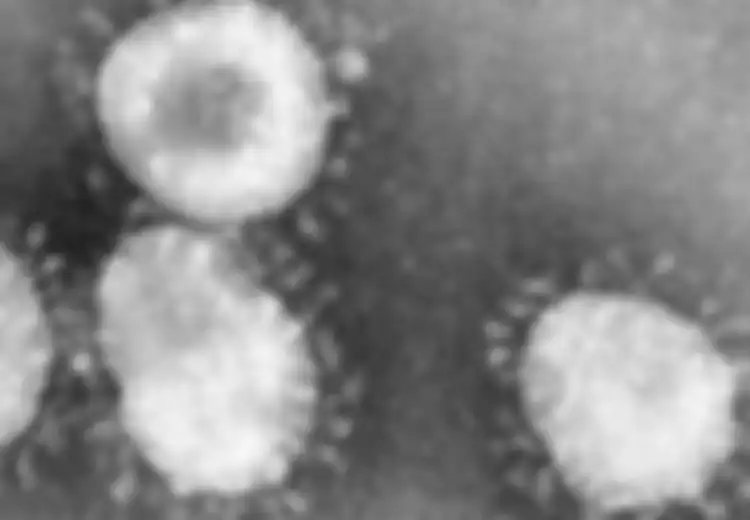 Menyebar Paling Banyak Lewat Ranjang Rumah Sakit, Inilah Gambaran Mengerikannya Penyebaran Virus Corona di Rumah Sakit, Sebaiknya di Rumah Saja Ya!