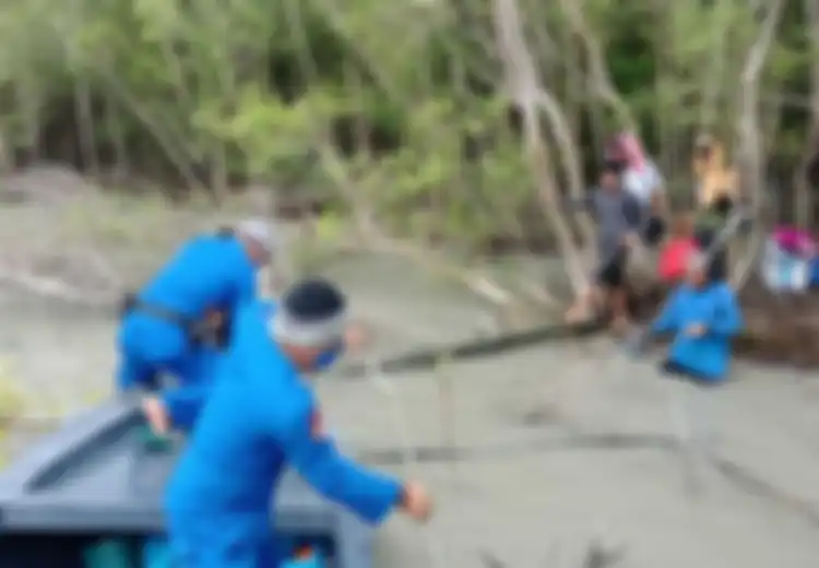 Seperti Tidak Punya Tujuan, Belasan TKI Ditemukan di Hutan Bakau, Ditelantarkan Sampai 2 Hari Tidak Makan, ini Videonya